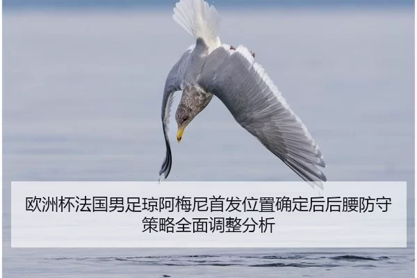 ou-zhou-bei-fa-guo-nan-zu-qiong-a-mei-ni-shou-fa-wei-zhi-que-ding-hou-hou-yao-fang-shou-ce-lve-quan-mian-tiao-zheng-fen-2-161.jpg